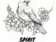 VA, Spirit Night, download ,zip, zippyshare, fakaza, EP, datafilehost, album, Afro House, Afro House 2019, Afro House Mix, Afro House Music, Afro Tech, House Music