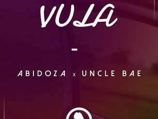 Abidoza, Vula, Uncle Bae, mp3, download, datafilehost, fakaza, Afro House, Afro House 2019, Afro House Mix, Afro House Music, Afro Tech, House Music