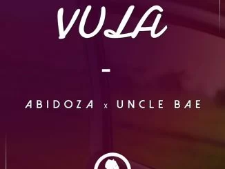 Abidoza, Vula, Uncle Bae, mp3, download, datafilehost, fakaza, Afro House, Afro House 2019, Afro House Mix, Afro House Music, Afro Tech, House Music
