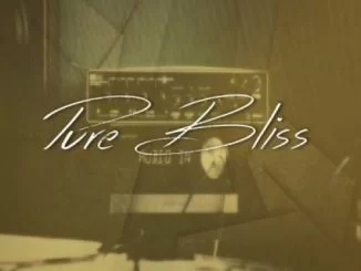 Brazo Wa Afrika, Exte C, Pure Bliss, mp3, download, datafilehost, fakaza, Afro House, Afro House 2019, Afro House Mix, Afro House Music, Afro Tech, House Music