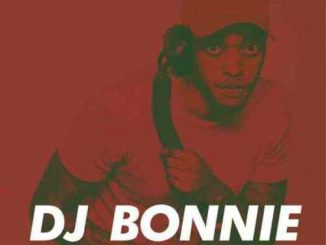 DJ Bonnie, 14K Appreciation Mix, mp3, download, datafilehost, fakaza, Afro House, Afro House 2019, Afro House Mix, Afro House Music, Afro Tech, House Music