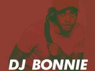 DJ Bonnie, 14K Appreciation Mix, mp3, download, datafilehost, fakaza, Afro House, Afro House 2019, Afro House Mix, Afro House Music, Afro Tech, House Music