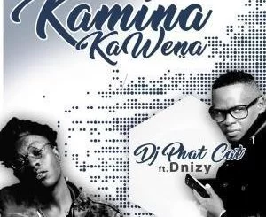 DJ Phat Cat, Kamina Kawena, Dnizy, mp3, download, datafilehost, fakaza, Afro House, Afro House 2019, Afro House Mix, Afro House Music, Afro Tech, House Music