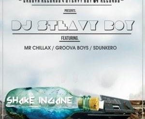 DJ Steavy Boy, Shake Ingane, Mr. Chillax, Groova Boys, Sdunkero, mp3, download, datafilehost, fakaza, Gqom Beats, Gqom Songs, Gqom Music, Gqom Mix, House Music