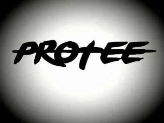 DJ Zinhle , Pepe (Pro-Tee’s 2019 Broken Remake), mp3, download, datafilehost, fakaza, Afro House, Afro House 2019, Afro House Mix, Afro House Music, Afro Tech, House Music