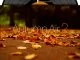DeepWit Recordings, Autumn Air Vol. 2, download ,zip, zippyshare, fakaza, EP, datafilehost, album, Deep House Mix, Deep House, Deep House Music, Deep Tech, Afro Deep Tech, House Music