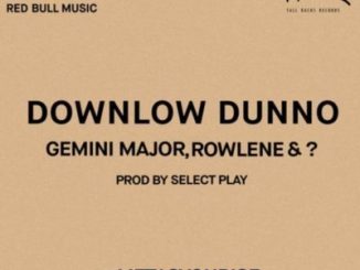 Gemini Major, Rowlene, ?, Downlow Dunno, mp3, download, datafilehost, fakaza, Hiphop, Hip hop music, Hip Hop Songs, Hip Hop Mix, Hip Hop, Rap, Rap Music