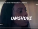 Kabza De Small, Umshove, Leehleza, video, mp3, download, datafilehost, fakaza, Afro House, Afro House 2019, Afro House Mix, Afro House Music, Afro Tech, House Music, Amapiano, Amapiano Songs, Amapiano Music