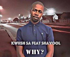 Kwiish SA, Why?, Shavool, mp3, download, datafilehost, fakaza, Afro House, Afro House 2019, Afro House Mix, Afro House Music, Afro Tech, House Music, Amapiano, Amapiano Songs, Amapiano Music