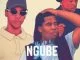 Musical Vine , Mbuckza, Ngube, Manzo, mp3, download, datafilehost, fakaza, Afro House, Afro House 2019, Afro House Mix, Afro House Music, Afro Tech, House Music