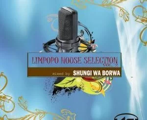Shungi Wa Borwa, DJ Native SA, Limpopo House Selection, Vol. 2, download ,zip, zippyshare, fakaza, EP, datafilehost, album, Afro House, Afro House 2019, Afro House Mix, Afro House Music, Afro Tech, House Music