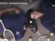 Tresor, Sondela, Msaki, video, download ,mp3, download, datafilehost, toxicwap, fakaza, Afro House, Afro House 2019, Afro House Mix, Afro House Music, Afro Tech, House Music