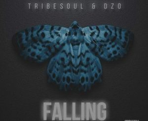 Tribesoul, Dzo, Falling (Original Mix), mp3, download, datafilehost, fakaza, Afro House, Afro House 2019, Afro House Mix, Afro House Music, Afro Tech, House Music