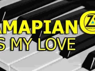 De Mthuda, Farmer, Njelic, Shesha (Geza) (Vocal Mix), download ,zip, zippyshare, fakaza, EP, datafilehost, album, Afro House, Afro House 2019, Afro House Mix, Afro House Music, House Music, Amapiano, Amapiano 2019, Amapiano Mix, Amapiano Music