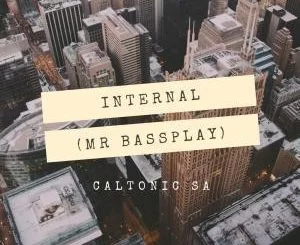 Caltonic SA, Internal, Mr Bassplay, mp3, download, datafilehost, fakaza, Afro House, Afro House 2019, Afro House Mix, Afro House Music, Afro Tech, House Music, Amapiano, Amapiano Songs, Amapiano Music