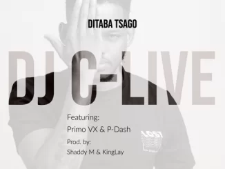 DJ C-Live, Ditaba Tsago, Primo VX, P-Dash, mp3, download, datafilehost, fakaza, Afro House, Afro House 2019, Afro House Mix, Afro House Music, Afro Tech, House Music