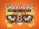 DJ Ganyani, Ganyani's House Grooves 8, Ganyani's House Grooves, download ,zip, zippyshare, fakaza, EP, datafilehost, album, Afro House, Afro House 2019, Afro House Mix, Afro House Music, Afro Tech, House Music