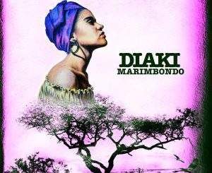 Diaki, Marimbondo, Original Mix, mp3, download, datafilehost, fakaza, Afro House, Afro House 2019, Afro House Mix, Afro House Music, Afro Tech, House Music