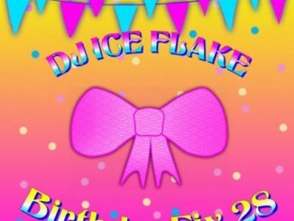 Dj Ice Flake , BirthdayFix 28 2019, mp3, download, datafilehost, fakaza, Afro House, Afro House 2019, Afro House Mix, Afro House Music, Afro Tech, House Music