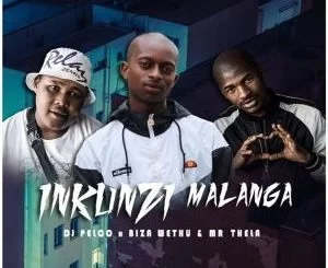 Dj Pelco, Nkunzi Malanga, Biza Wethu, Mr Thela, mp3, download, datafilehost, fakaza, Gqom Beats, Gqom Songs, Gqom Music, Gqom Mix, House Music,
