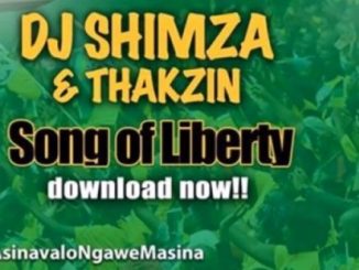 Dj Shimza, DJ Thakzin, Song Of Liberty, Vote ANC, mp3, download, datafilehost, fakaza, Afro House, Afro House 2019, Afro House Mix, Afro House Music, Afro Tech, House Music