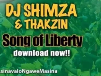 Dj Shimza, DJ Thakzin, Song Of Liberty, Vote ANC, mp3, download, datafilehost, fakaza, Afro House, Afro House 2019, Afro House Mix, Afro House Music, Afro Tech, House Music