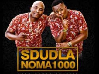 Dj Stavo, Emini, Sdudl noma1000, mp3, download, datafilehost, fakaza, Afro House, Afro House 2019, Afro House Mix, Afro House Music, Afro Tech, House Music