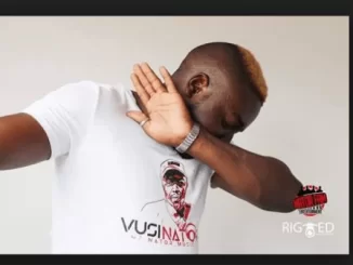 Fisto, Vusinator, Revolver, mp3, download, datafilehost, fakaza, Afro House, Afro House 2019, Afro House Mix, Afro House Music, Afro Tech, House Music