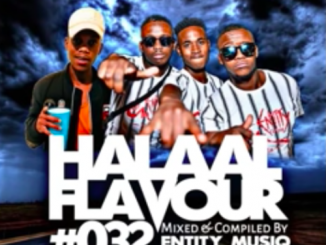 Halaal Flavour #032, Mixed & Compiled By Entity MusiQ, Lil’Mo, Winter Edition, mp3, download, datafilehost, fakaza, Afro House, Afro House 2019, Afro House Mix, Afro House Music, Afro Tech, House Music