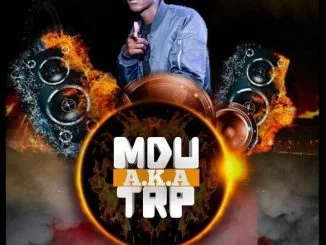 Mdu A.K.A TRP, Indigo, mp3, download, datafilehost, fakaza, Afro House, Afro House 2019, Afro House Mix, Afro House Music, Afro Tech, House Music
