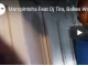 Mampintsha, Khona Iyngane Lay’Ndlini, Dj Tira, Babes Wodumo, Campmasters, mp3, download, datafilehost, fakaza, Afro House, Afro House 2019, Afro House Mix, Afro House Music, Afro Tech, House Music