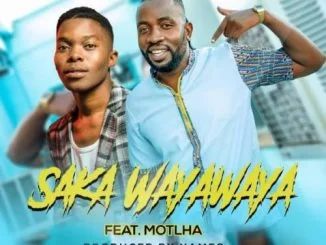 Mingo Touch, Saka WayaWaya, Motlha, mp3, download, datafilehost, fakaza, Afro House, Afro House 2019, Afro House Mix, Afro House Music, Afro Tech, House Music