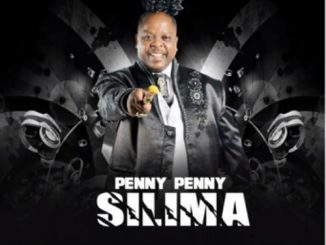 Penny Penny, Silima, Amapiano Beef To Malema, mp3, download, datafilehost, fakaza, Afro House, Afro House 2019, Afro House Mix, Afro House Music, Afro Tech, House Music, Amapiano, Amapiano Songs, Amapiano Music