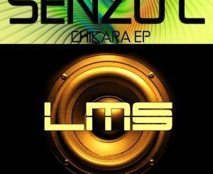 Senzo C, Switch 2.0 , 2019 Retouch, mp3, download, datafilehost, fakaza, Afro House, Afro House 2019, Afro House Mix, Afro House Music, Afro Tech, House Music