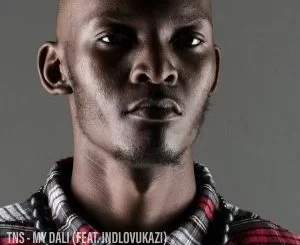 TNS, My Dali, Citizen Deep Remix, Indlovukazi, mp3, download, datafilehost, fakaza, Afro House, Afro House 2019, Afro House Mix, Afro House Music, Afro Tech, House Music