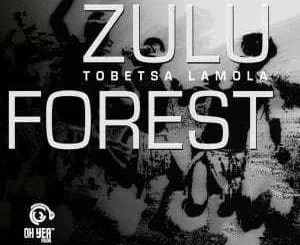 Tobetsa Lamola, Zulu Drums, mp3, download, datafilehost, fakaza, Afro House, Afro House 2018, Afro House Mix, Afro House Music, Afro Tech, House Music