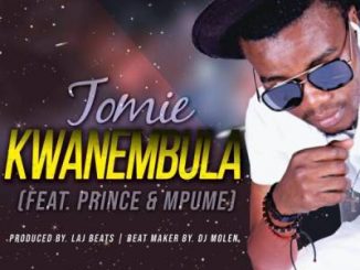 Tomie, KwaNembula, Prince, Mpume, mp3, download, datafilehost, fakaza, Afro House, Afro House 2019, Afro House Mix, Afro House Music, Afro Tech, House Music