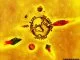 Zubz, the Assembly, Podcast, download ,zip, zippyshare, fakaza, EP, datafilehost, album, Hiphop, Hip hop music, Hip Hop Songs, Hip Hop Mix, Hip Hop, Rap, Rap Music
