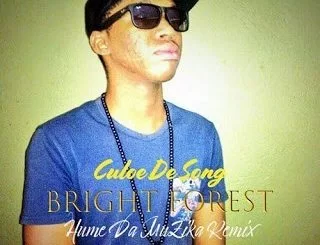 Culoe De Song, Bright Forest, Hume Da Muzika Remix, mp3, download, datafilehost, fakaza, Afro House, Afro House 2019, Afro House Mix, Afro House Music, Afro Tech, House Music