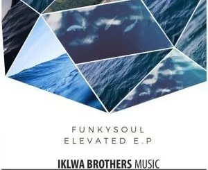 FunkySoul, Dragons Den, Dub Mix, Mzala Wa Afrika, Deep Narratives, mp3, download, datafilehost, fakaza, Afro House, Afro House 2019, Afro House Mix, Afro House Music, Afro Tech, House Music