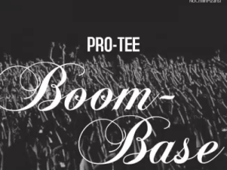 Giggs Superstar, I Don’t Care, Pro-Tee’s 2019 Gqom-Rebass, mp3, download, datafilehost, fakaza, Gqom Beats, Gqom Songs, Gqom Music, Gqom Mix, House Music,