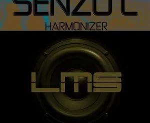 Senzo C, Harmonizer, mp3, download, datafilehost, fakaza, Afro House, Afro House 2019, Afro House Mix, Afro House Music, Afro Tech, House Music