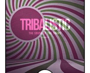 Tribalistic, Vol. 6, The Sound Of The Drums, download ,zip, zippyshare, fakaza, EP, datafilehost, album, Afro House, Afro House 2019, Afro House Mix, Afro House Music, Afro Tech, House Music