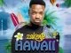 Zakente, Hawaii, Original Mix, mp3, download, datafilehost, fakaza, Afro House, Afro House 2019, Afro House Mix, Afro House Music, Afro Tech, House Music