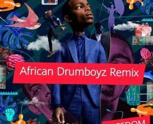 Zakes Bantwini, Moonga K, Freedom, African DrumBoyz Remix, mp3, download, datafilehost, fakaza, Afro House, Afro House 2019, Afro House Mix, Afro House Music, Afro Tech, House Music