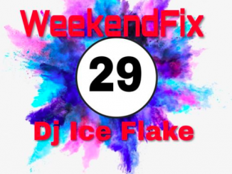 Dj Ice Flake, WeekendFix 29 2019, mp3, download, datafilehost, fakaza, Afro House, Afro House 2019, Afro House Mix, Afro House Music, Afro Tech, House Music