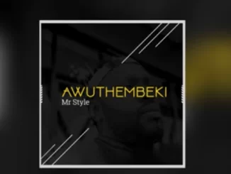 MR STYLE , AWUTHEMBEKI, mp3, download, datafilehost, fakaza, Afro House, Afro House 2019, Afro House Mix, Afro House Music, Afro Tech, House Music