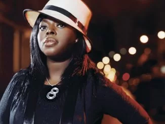 Angie Stone, I Wanna Thank Ya (Dance Vault Mixes), download ,zip, zippyshare, fakaza, EP, datafilehost, album, R&B/Soul, R&B/Soul Mix, R&B/Soul Music, R&B/Soul Classics, R&B, Soul, Soul Mix, Soul Classics