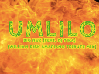 Big Nuz, William Risk Amapiano Tribute Mix, Umlilo, DJ Tira, mp3, download, datafilehost, fakaza, Afro House, Afro House 2019, Afro House Mix, Afro House Music, Afro Tech, House Music