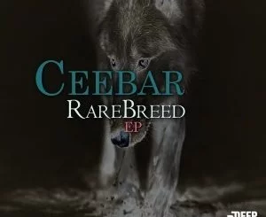 Ceebar, RareBreed, download ,zip, zippyshare, fakaza, EP, datafilehost, album, Afro House, Afro House 2019, Afro House Mix, Afro House Music, Afro Tech, House Music